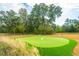 Community putting green with artificial turf at 5017 Cranesbill Way, Johns Island, SC 29455