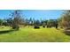 Landscaped backyard with a variety of trees and shrubs at 3112 Santee River Rd, Saint Stephen, SC 29479