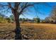 Large backyard with dry grass and a wooden fence at 7011 Windmill Creek Rd, Charleston, SC 29414