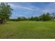 Large grassy area with mature trees perfect for recreation at 7011 Windmill Creek Rd, Charleston, SC 29414