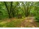 Wooded backyard with a shed and outhouse at 8389 Chisolm Plantation Rd, Edisto Island, SC 29438