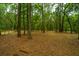 Wooded area with lush trees and ground cover at 8389 Chisolm Plantation Rd, Edisto Island, SC 29438