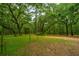 Cleared lot surrounded by lush trees and foliage creating a private oasis at 8389 Chisolm Plantation Rd, Edisto Island, SC 29438