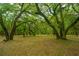 Secluded home nestled among trees with a grassy yard at 8389 Chisolm Plantation Rd, Edisto Island, SC 29438