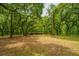 Open yard with a storage shed, surrounded by trees at 8389 Chisolm Plantation Rd, Edisto Island, SC 29438