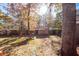 Backyard with a swing set, play area, and trees with fall foliage at 107 Deer Run Ct, Goose Creek, SC 29445