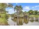 Serene pond with a small island of trees and lush greenery at 26 Twin Oaks Ln, Isle of Palms, SC 29451