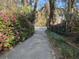 Long driveway lined with lush greenery leading to a home at 208 Sumter Ave, Summerville, SC 29483