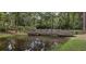 Wooden footbridge over a tranquil pond in a wooded setting at 208 Sumter Ave, Summerville, SC 29483