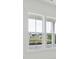 White framed window showcasing a neighborhood view at 347 Trailmore Ln, Summerville, SC 29486