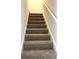 Carpeted staircase leading to the upper level of the home at 3005 Dalmore Dr, Ravenel, SC 29470