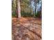 Spacious backyard with firepit and wooded area at 4743 Skillmaster Ct, North Charleston, SC 29418