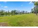 Peaceful pond view with lush green grass at 153 Belfort Pl, Summerville, SC 29486