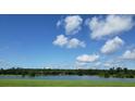 Scenic view of a peaceful lake with lush greenery under a vibrant blue sky at 9 Edisto Crossing Ct, Ridgeville, SC 29472