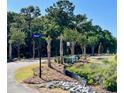 Landscaped street entrance with palm trees and signage at 1075 Capersview Ct, Awendaw, SC 29429