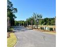 Curved street with new landscaping and speed limit sign at 1075 Capersview Ct, Awendaw, SC 29429