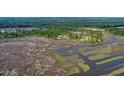 Aerial view of a neighborhood near a marsh at 117 Silverbell Ln, Hollywood, SC 29470