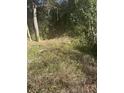 Overgrown lot with visible ground cover at 220 N Highway 52, Moncks Corner, SC 29461