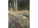 Vacant lot with some debris; needs clearing at 220 N Highway 52, Moncks Corner, SC 29461