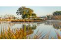 Scenic lakefront view with a tranquil island and mature trees at 3850 Delinger Dr, Mount Pleasant, SC 29466