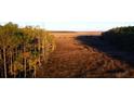 Aerial view of a serene marsh landscape with tall grasses and trees at 1473 Jeremy Cay Ct, Awendaw, SC 29429