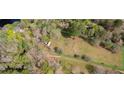 Aerial view of property showing house, large yard, and surrounding trees at 138 Waddell Ln, Ridgeville, SC 29472