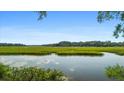 Serene waterfront view with marsh grasses and calm waters at 8541 Oyster Factory Rd, Edisto Island, SC 29438