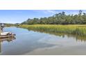 Serene waterfront view with calm water, marsh grass, and lush trees at 1374 Black River Dr, Mount Pleasant, SC 29466