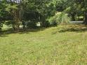Spacious grassy yard with mature trees and shrubs at 1132 Brownswood Rd, Johns Island, SC 29455