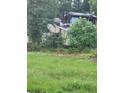 Fire damaged house exterior with overgrown vegetation at 1132 Brownswood Rd, Johns Island, SC 29455
