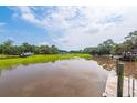 Scenic waterfront view with calm waters and lush greenery at 687 Oak Marsh Dr, Mount Pleasant, SC 29464
