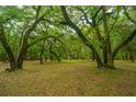 View 8389 Chisolm Plantation Rd Edisto Island SC