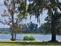 Serene view of a lake from behind lush trees at 210 Oyster Catcher Ln, Ravenel, SC 29470