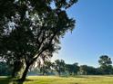 Serene landscape with mature oak trees and lush green grass at 210 Oyster Catcher Ln, Ravenel, SC 29470