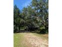 Home exterior surrounded by lush landscaping at 1342 Green Pond Hwy, Walterboro, SC 29488