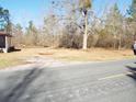 Vacant lot next to older home needing renovation at 1059 St Mark Bowman Rd, Saint George, SC 29477