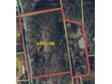 Property boundary lines shown in an aerial view at 928 Tiger Loop, Saint Stephen, SC 29479