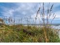 Oceanfront view from beach dune with sea oats and waves at 144 Palmetto Blvd, Edisto Island, SC 29438