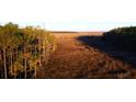 Aerial view of marsh landscape with tall grass and trees at 1467 Alligator Creek Ct # 104, Awendaw, SC 29429