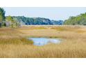 Picturesque marsh scenery with wooden walkway at 1709 Vireo Ct, Johns Island, SC 29455