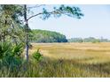 Serene marsh landscape with tall grass and boardwalk at 1709 Vireo Ct, Johns Island, SC 29455