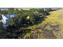 Aerial view of property showing home and marsh at 3 Seagrass Ln, Isle of Palms, SC 29451