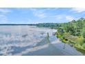 Aerial view showcasing waterfront property with lush greenery and calm waters at Lot 93 Lady Banks Ln, Hollywood, SC 29470