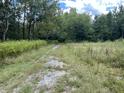 Wooded lot with a gravel driveway at 886 Dodge Ln, Round O, SC 29474