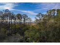 Aerial view of a home with marsh and water views at 1718 Cultivation Lane St # 536, Mount Pleasant, SC 29466
