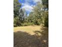 Spacious backyard with mature trees and a large grassy area at 507 E 5Th N St, Summerville, SC 29483