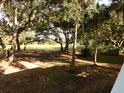 View of golf course from under large trees at 265 Sea Cloud Cir, Edisto Island, SC 29438