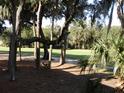 Lush green backyard with mature trees and golf course view at 265 Sea Cloud Cir, Edisto Island, SC 29438
