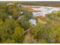Aerial view of a light blue house nestled in the woods near the water at 5250 Timber Race Crse, Hollywood, SC 29449