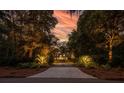 Long driveway leading to a home nestled in a wooded area at 4028 Gnarled Oaks Ln, Johns Island, SC 29455